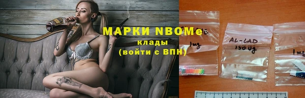 индика Баксан
